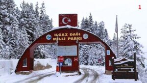 Ilgaz Dağı Milli Parkı