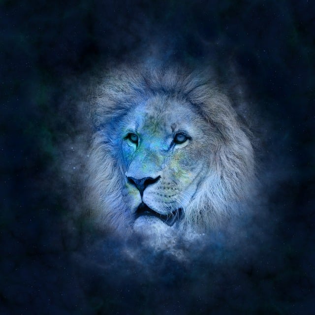 Aslan Burcu