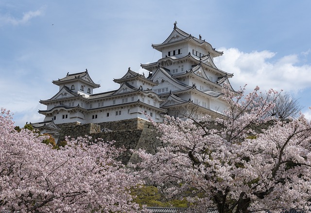 Japonya