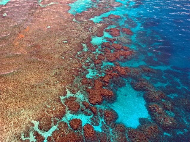 Büyük Set Resifi (Great Barrier Reef), Avustralya
