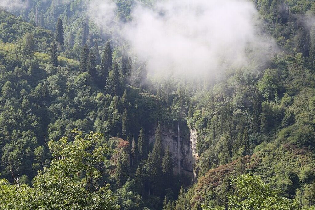 Karagöl Borçka