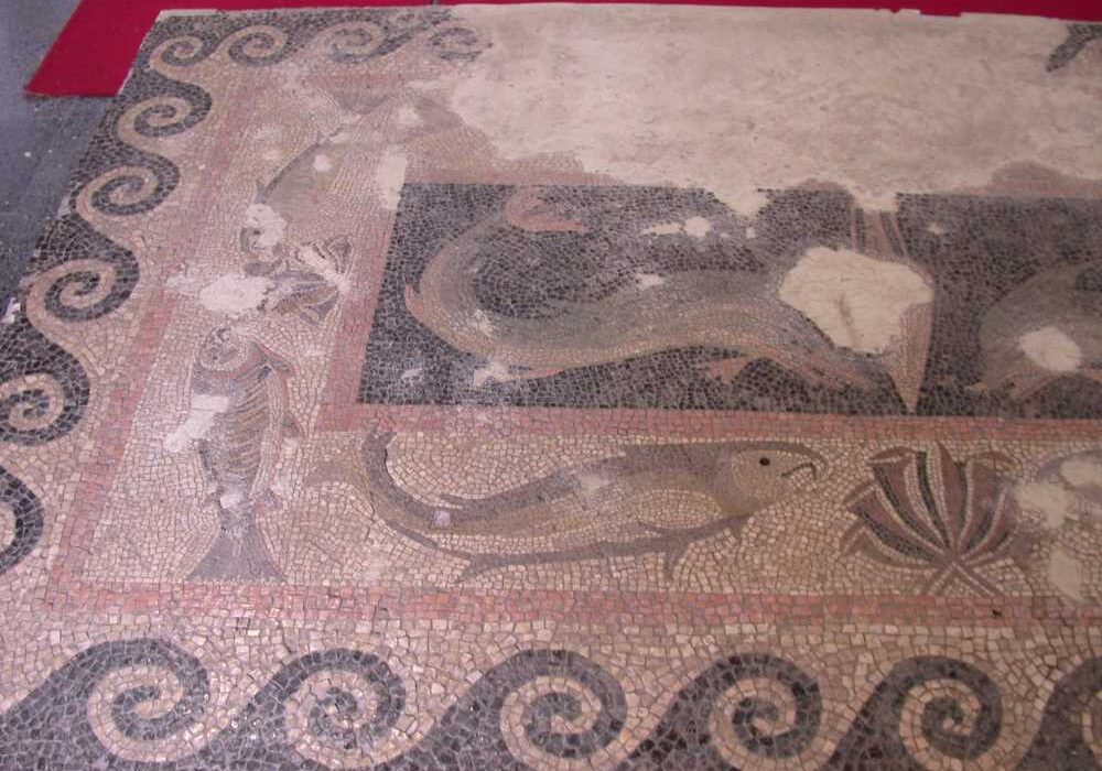 Adıyaman Müzesi3